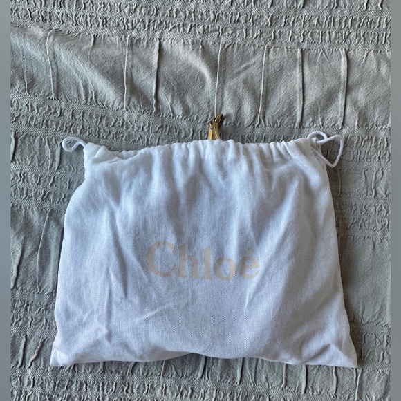 Chloe Small Nile Bracelet Bag - Picture 8 of 8